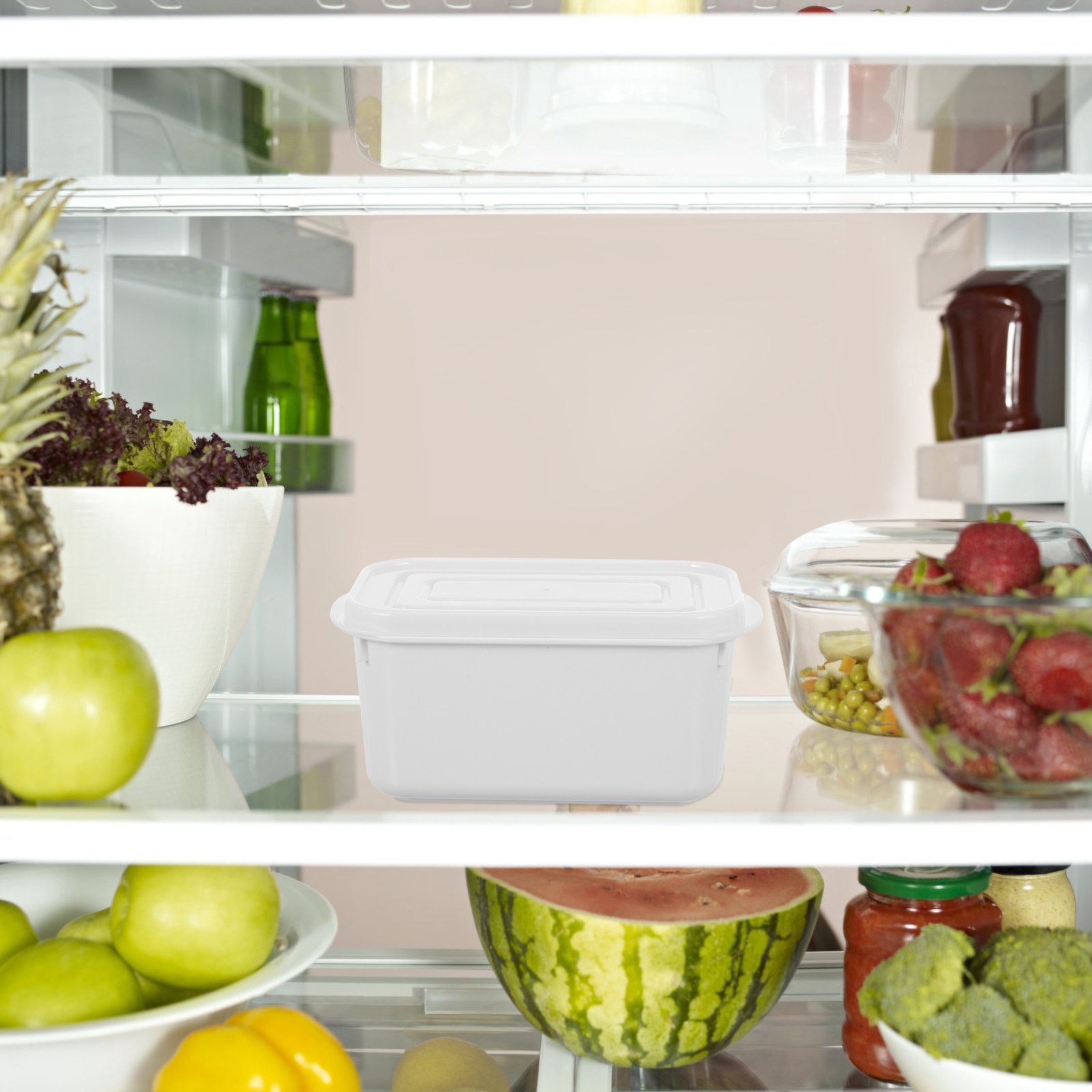 Food Storage In Restaurant - 2 Adet Gıda Saklama Kutusu Toz