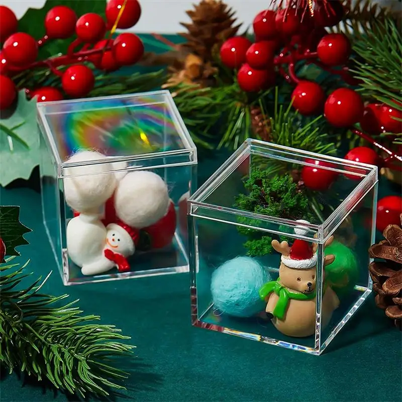 12 adet şeffaf akrilik kapaklı - Xmas Food Storage Containers incelemesi ve fiyatı