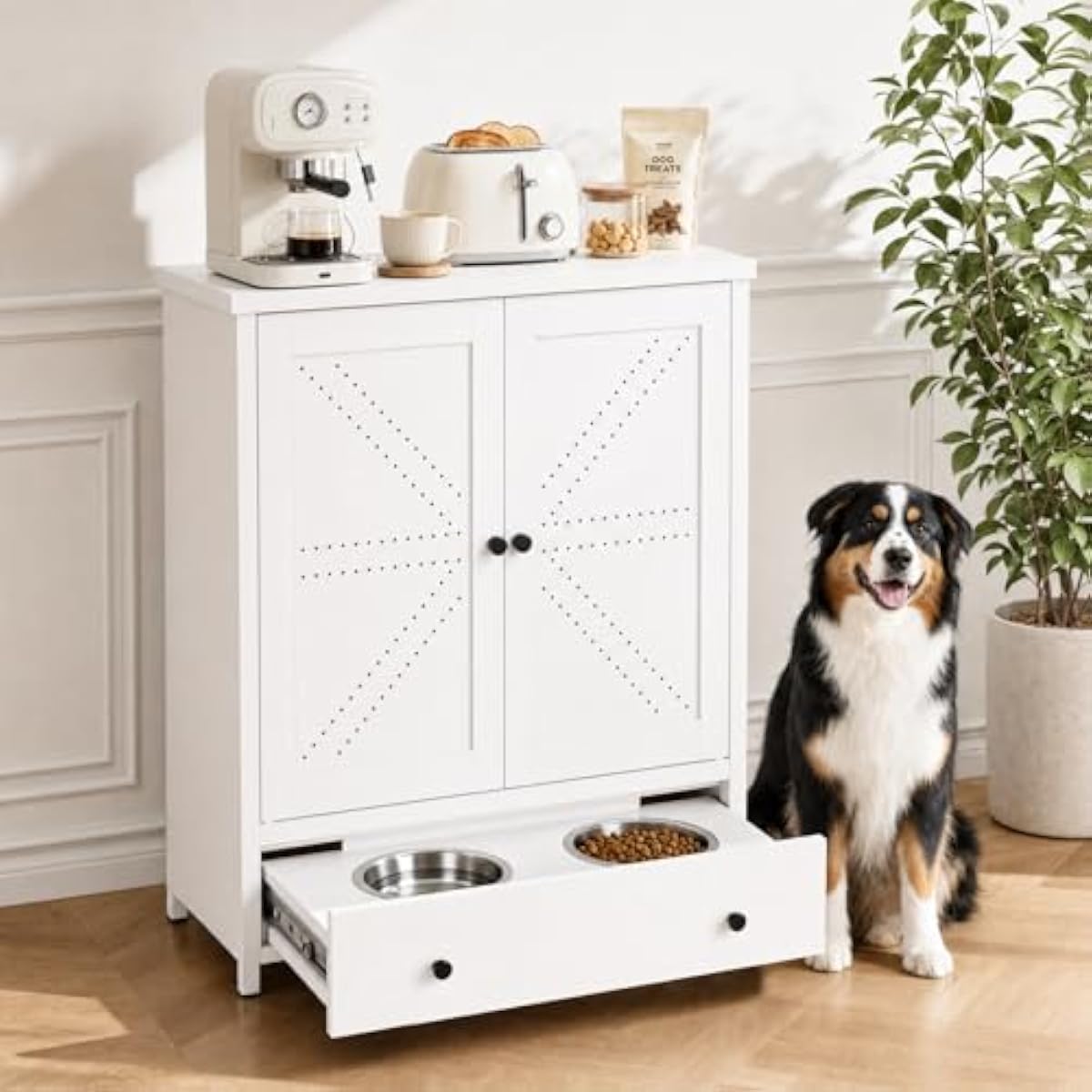 Çekmeceli ve 2 Çıkarılabilir P - Food Storage Pet incelemesi ve fiyatı